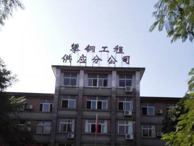 攀鋼集團西昌二期項目